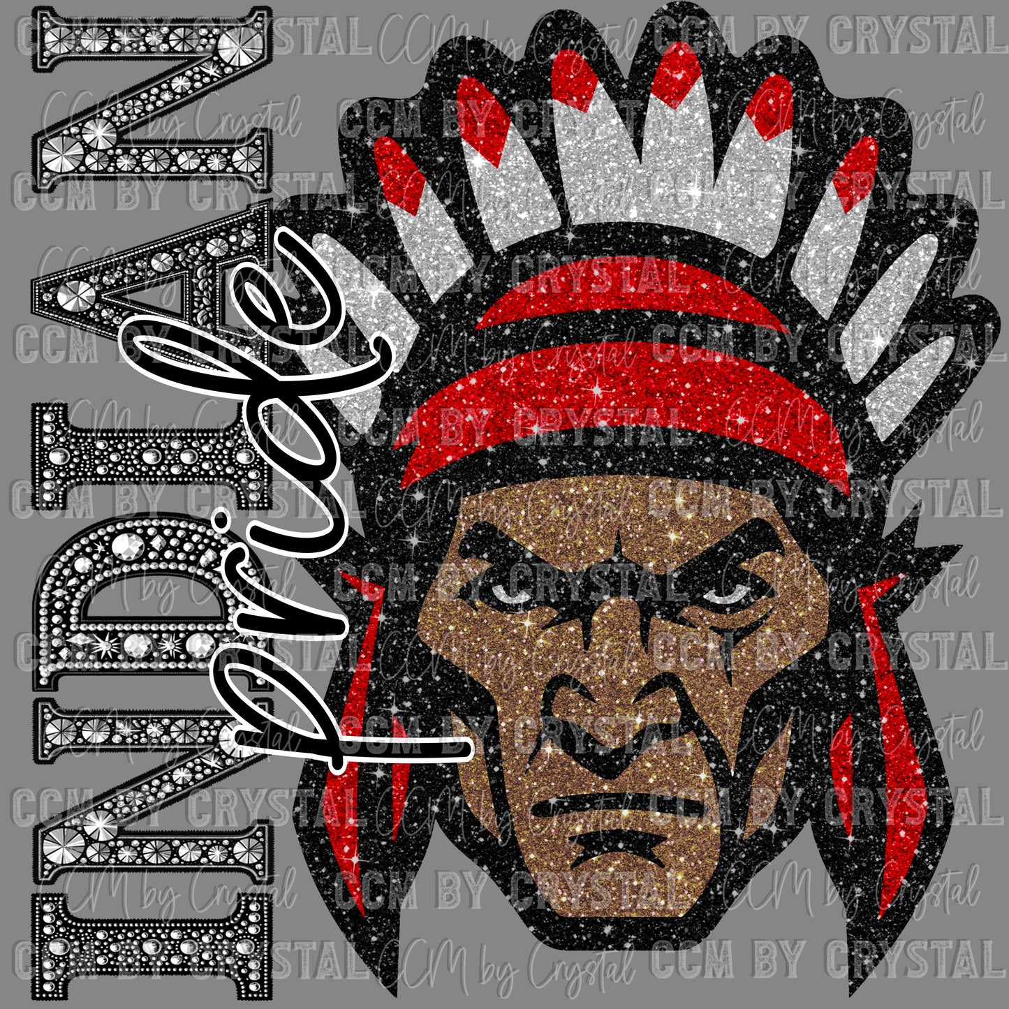 Indian Pride Mascot Ready to Press Transfer DTF Transfer Sublimation Transfer