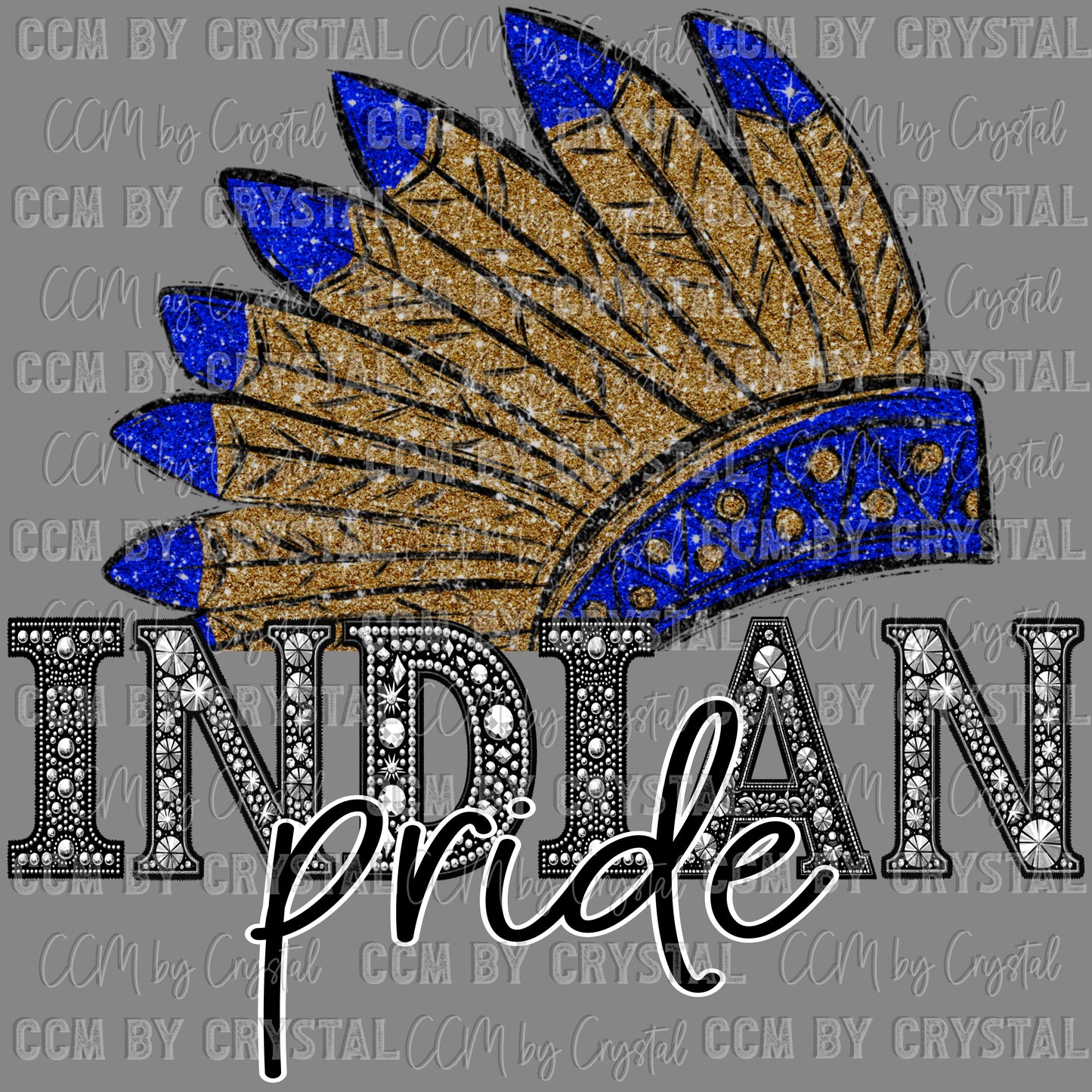 Indian Pride Mascot Ready to Press Transfer DTF Transfer Sublimation Transfer