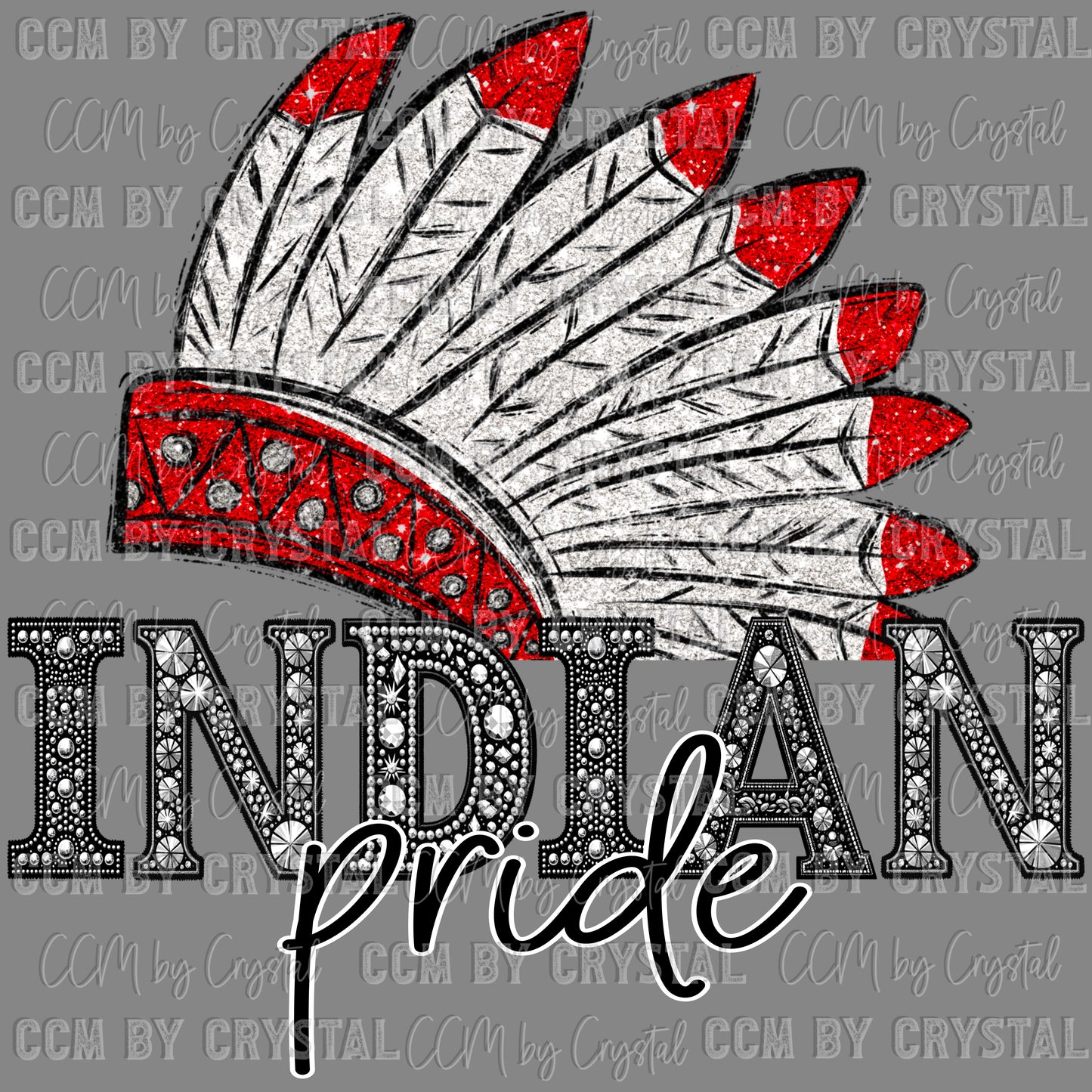 Indian Pride Mascot Ready to Press Transfer DTF Transfer Sublimation Transfer