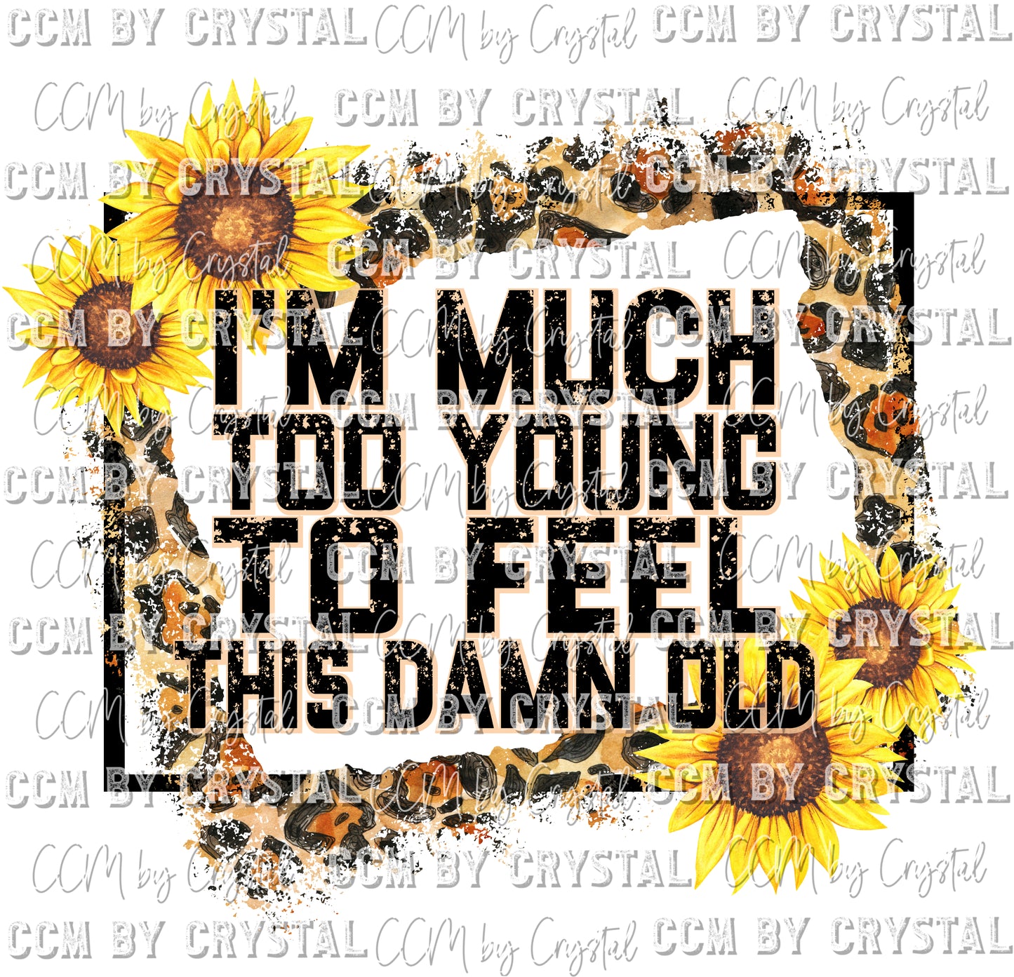 Much Too Young to Feel This Damn Old Ready to Press Transfer