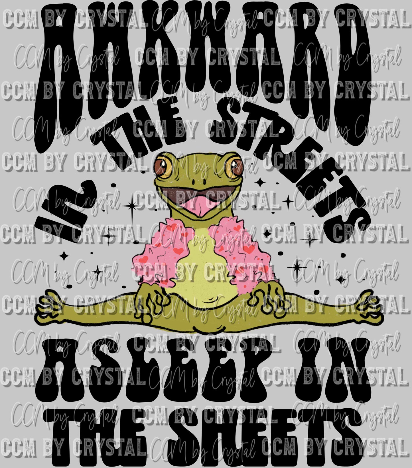 Awkward in the Streets Asleep in the Sheets Ready to Press Transfer DTF Transfer Sublimation Transfer