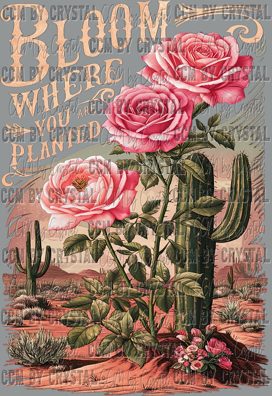 Bloom Where You Are Planted Pink Clean Ready to Press Transfer DTF Transfer Sublimation Transfer