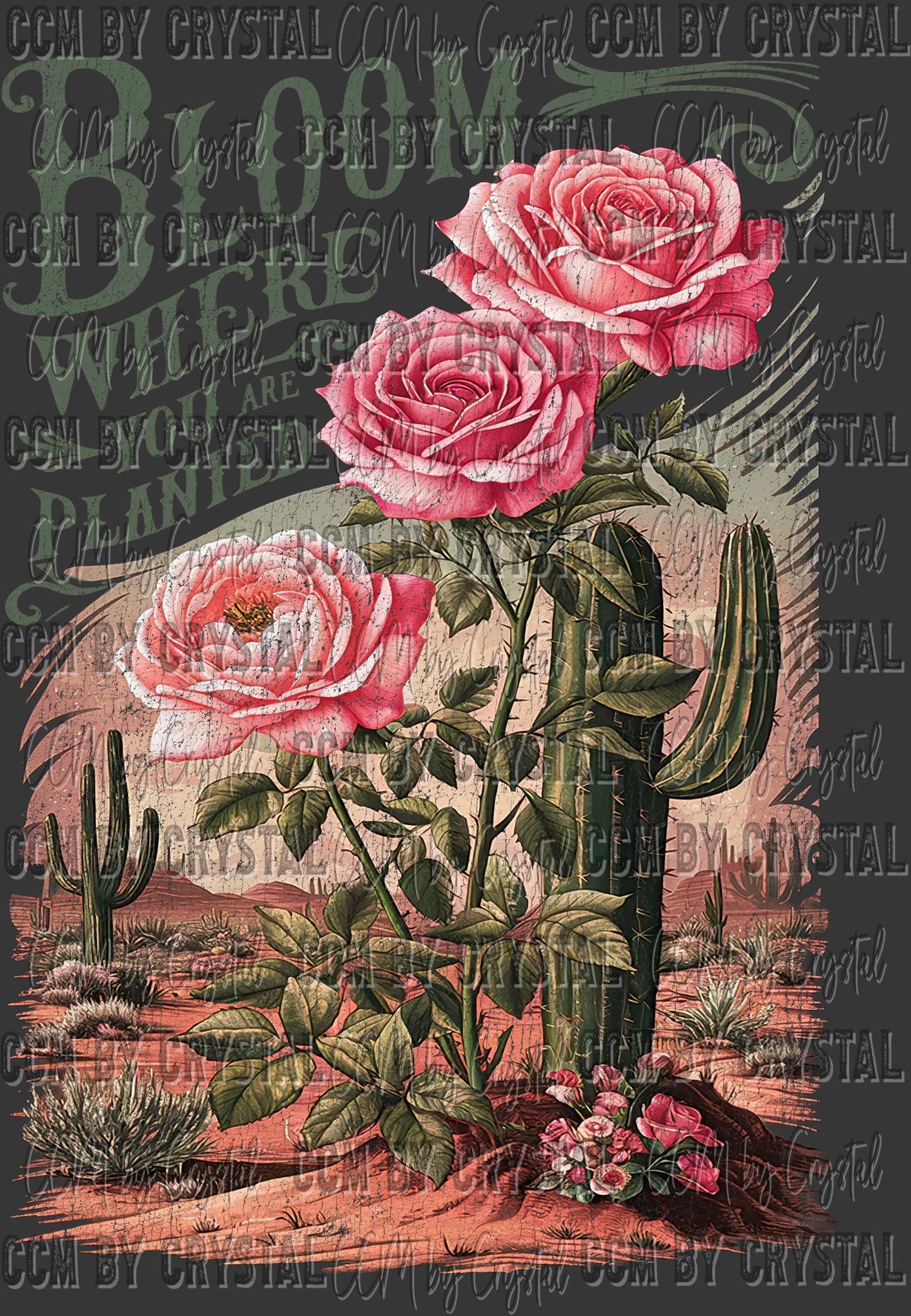 Bloom Where You Are Planted Green Distressed Ready to Press Transfer DTF Transfer Sublimation Transfer