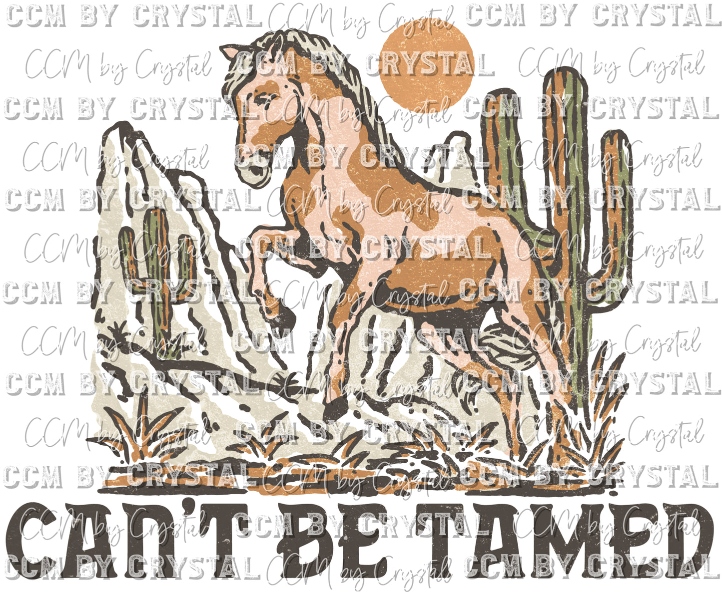 Can't Be tamed Horse Western Desert Ready to Press Transfer