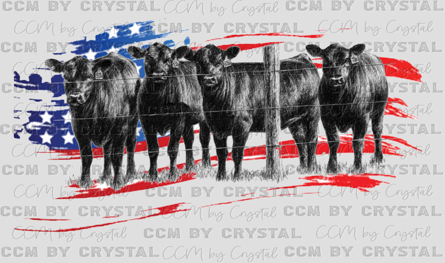 Cattle American Flag Ready to Press Transfer