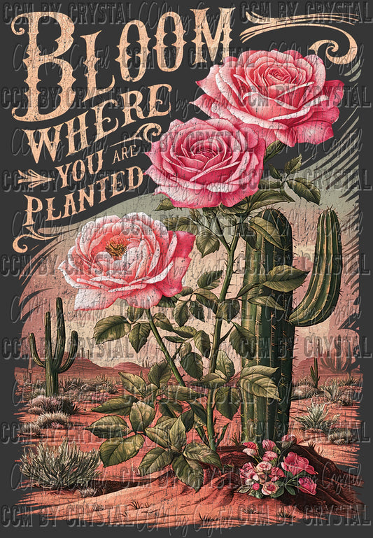 Bloom Where You Are Planted Pink Distressed Ready to Press Transfer DTF Transfer Sublimation Transfer