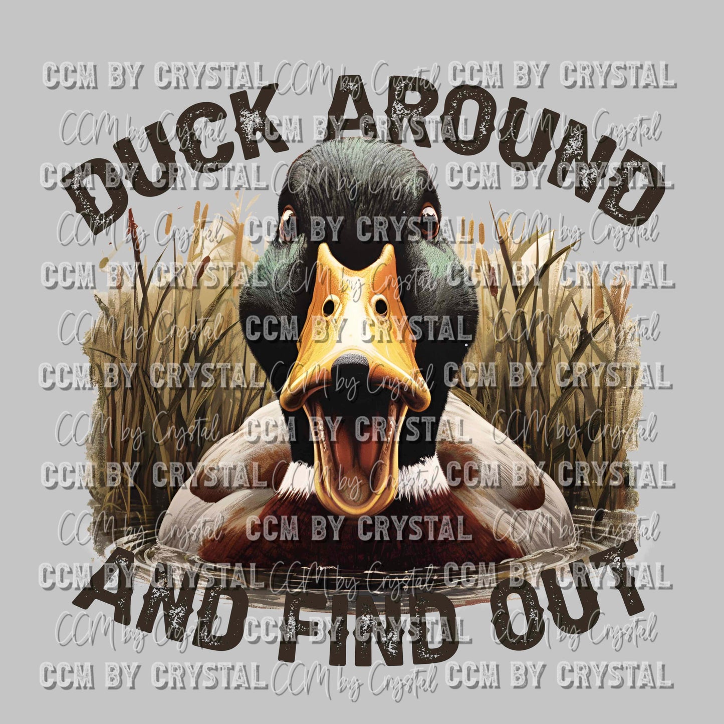 Duck Around and Find Out Ready To Press Transfer DTF Sublimation