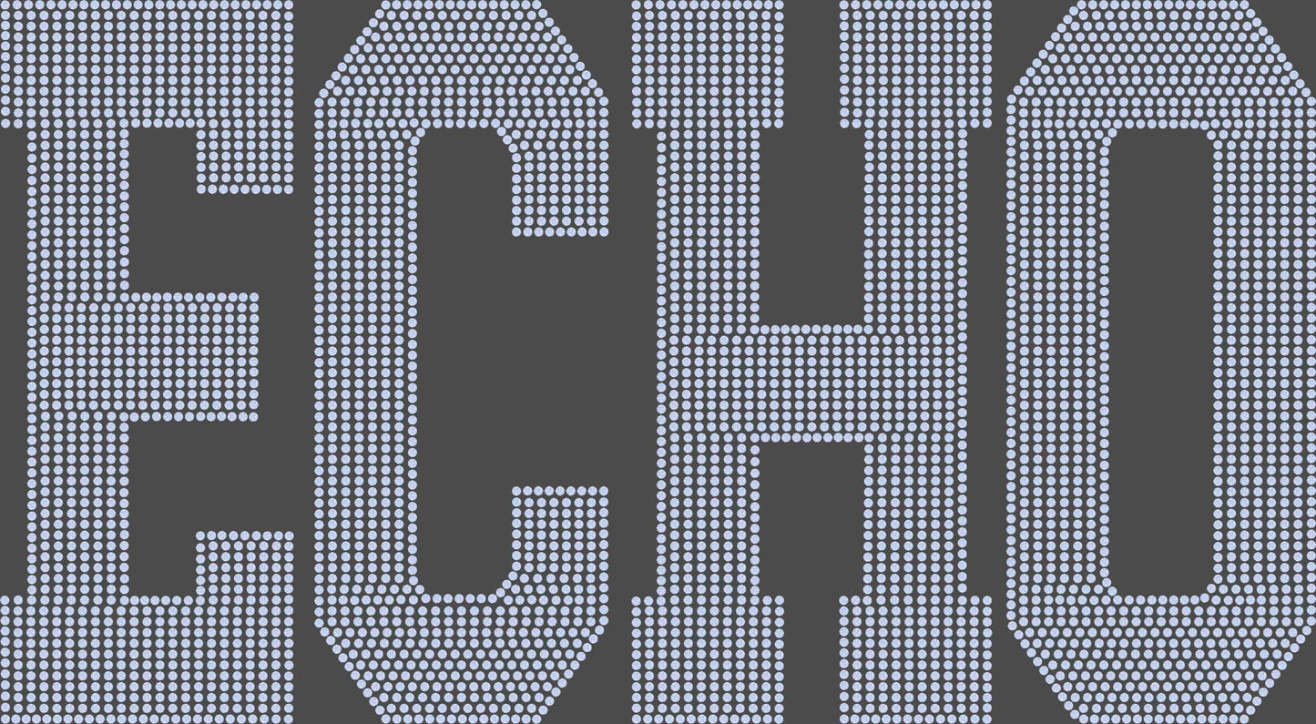 Echo 1-Color Approximately 11" wide Spangle Transfer