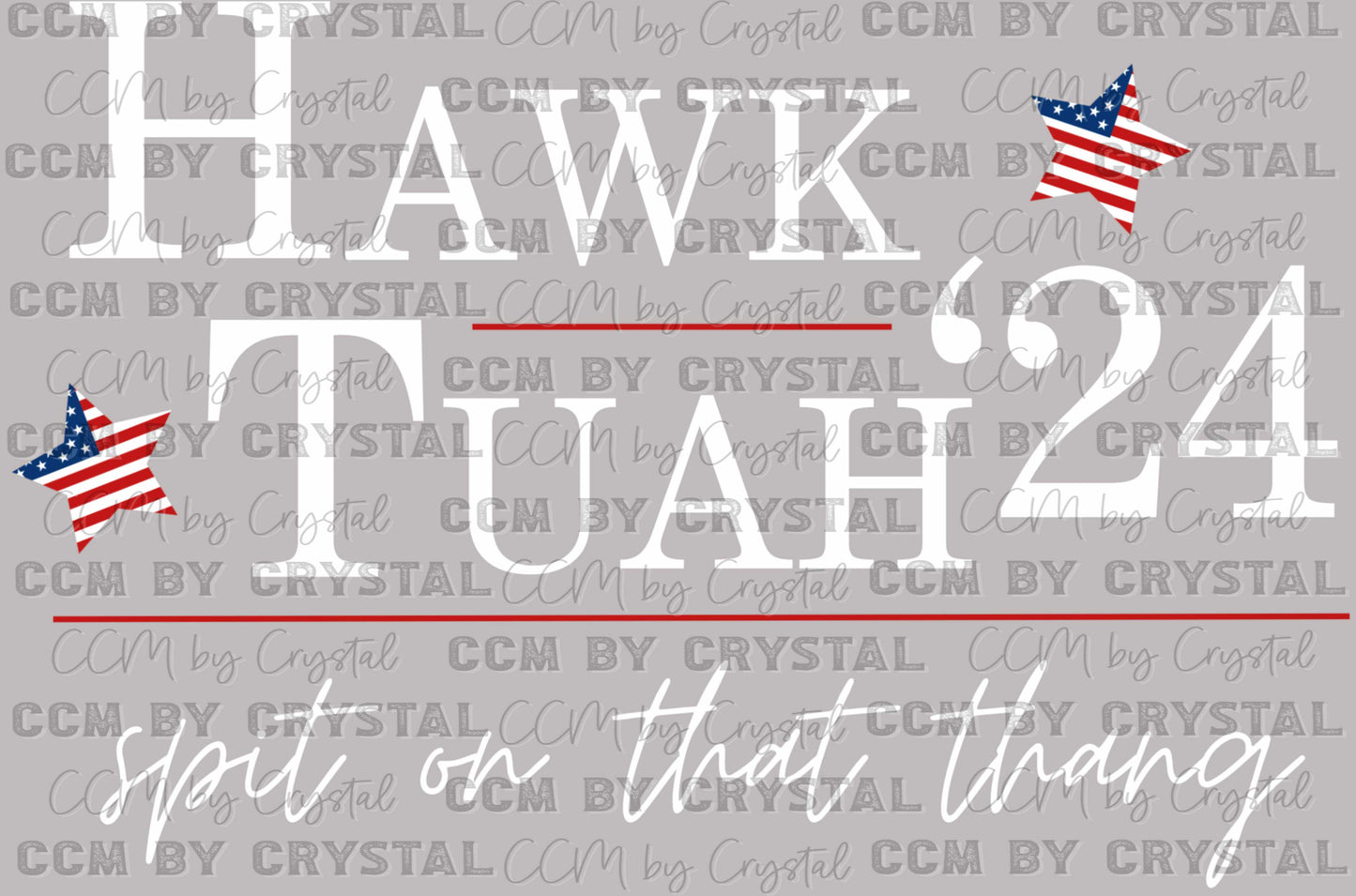Hawk Tuah Spit on that Thang "24 Ready to Press Transfer DTF Transfer