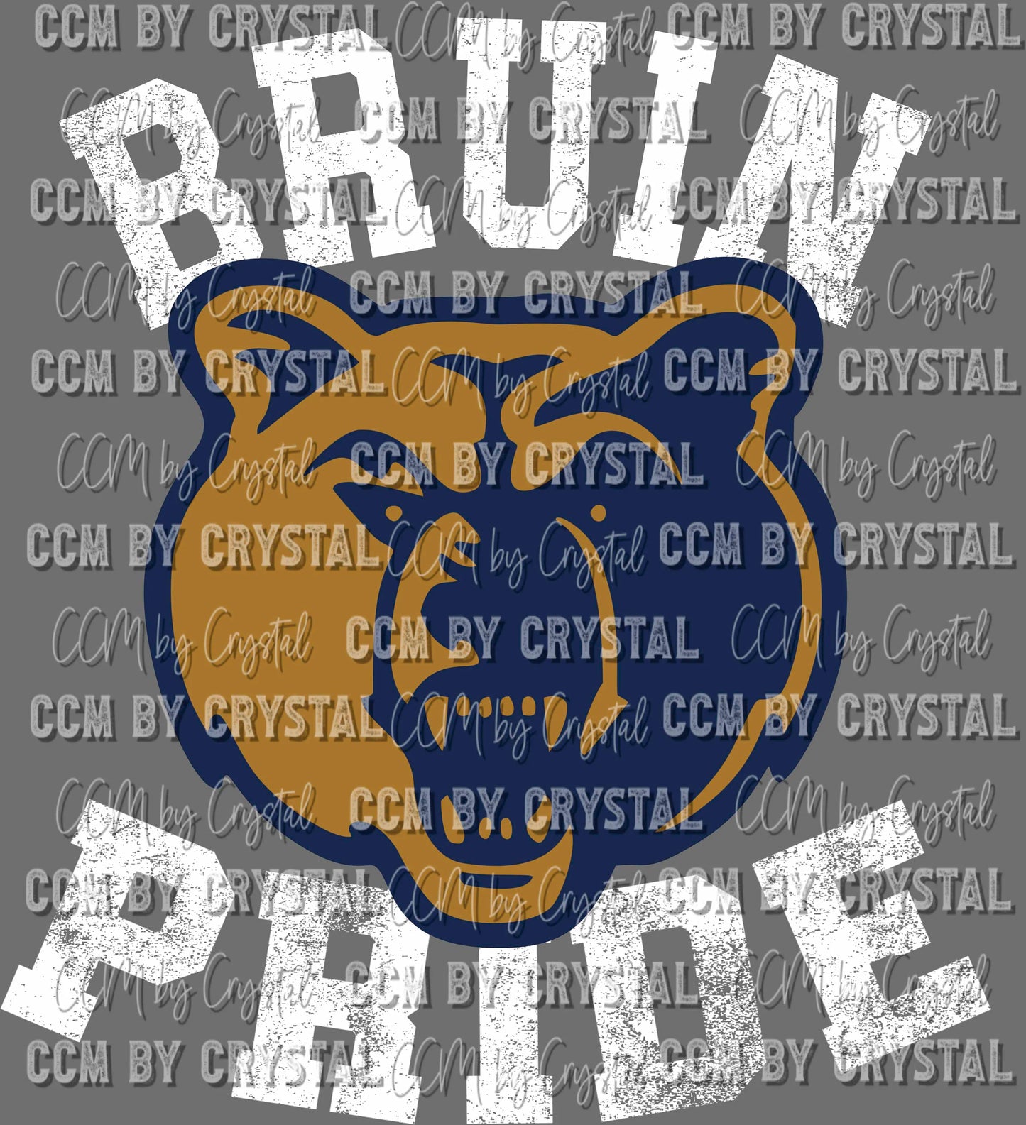Bruins Pride Mascot Ready to Press Transfer