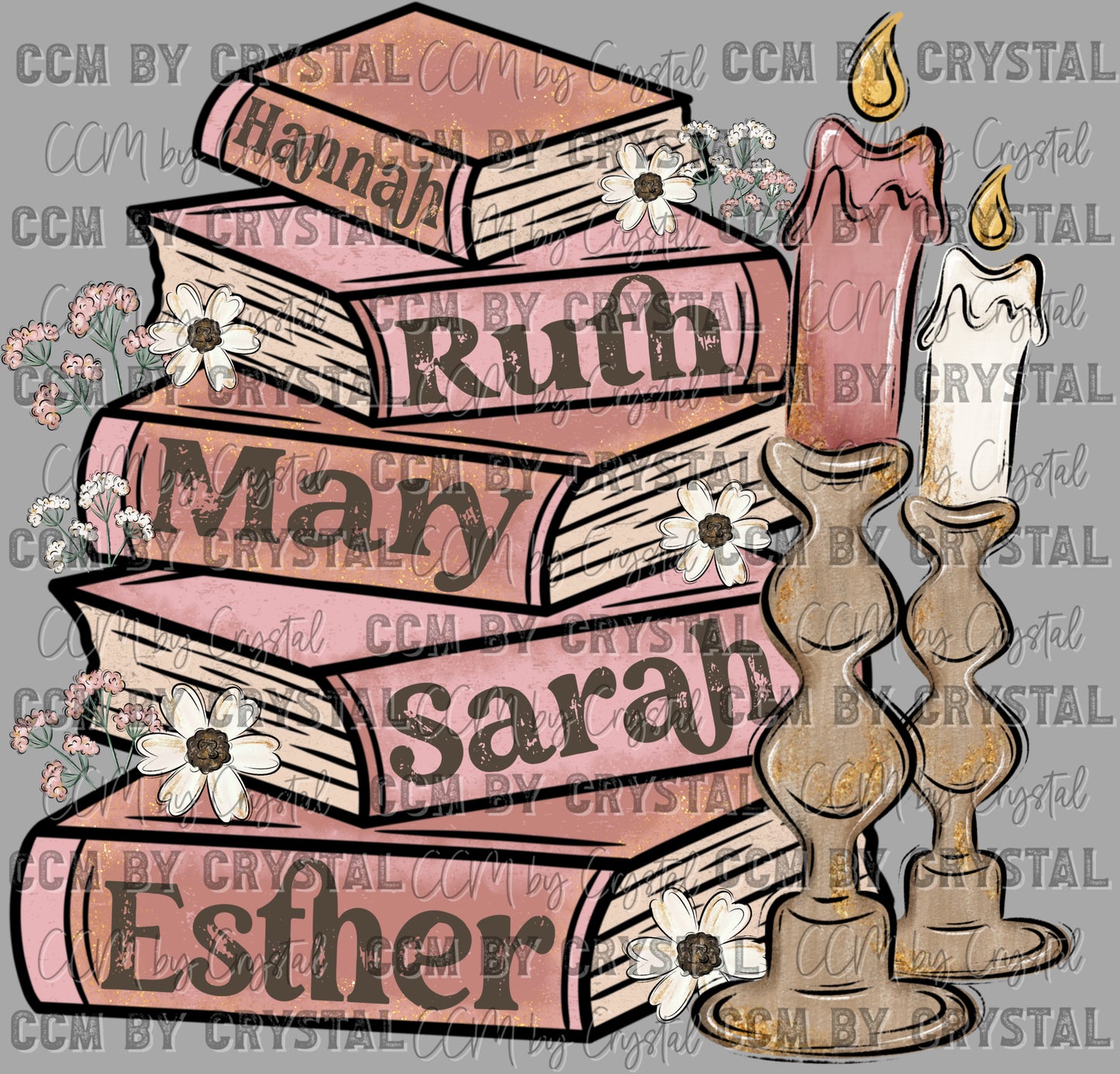 Women of the Bible Christian Ready to Press Transfer DTF Transfer Sublimation Transfer