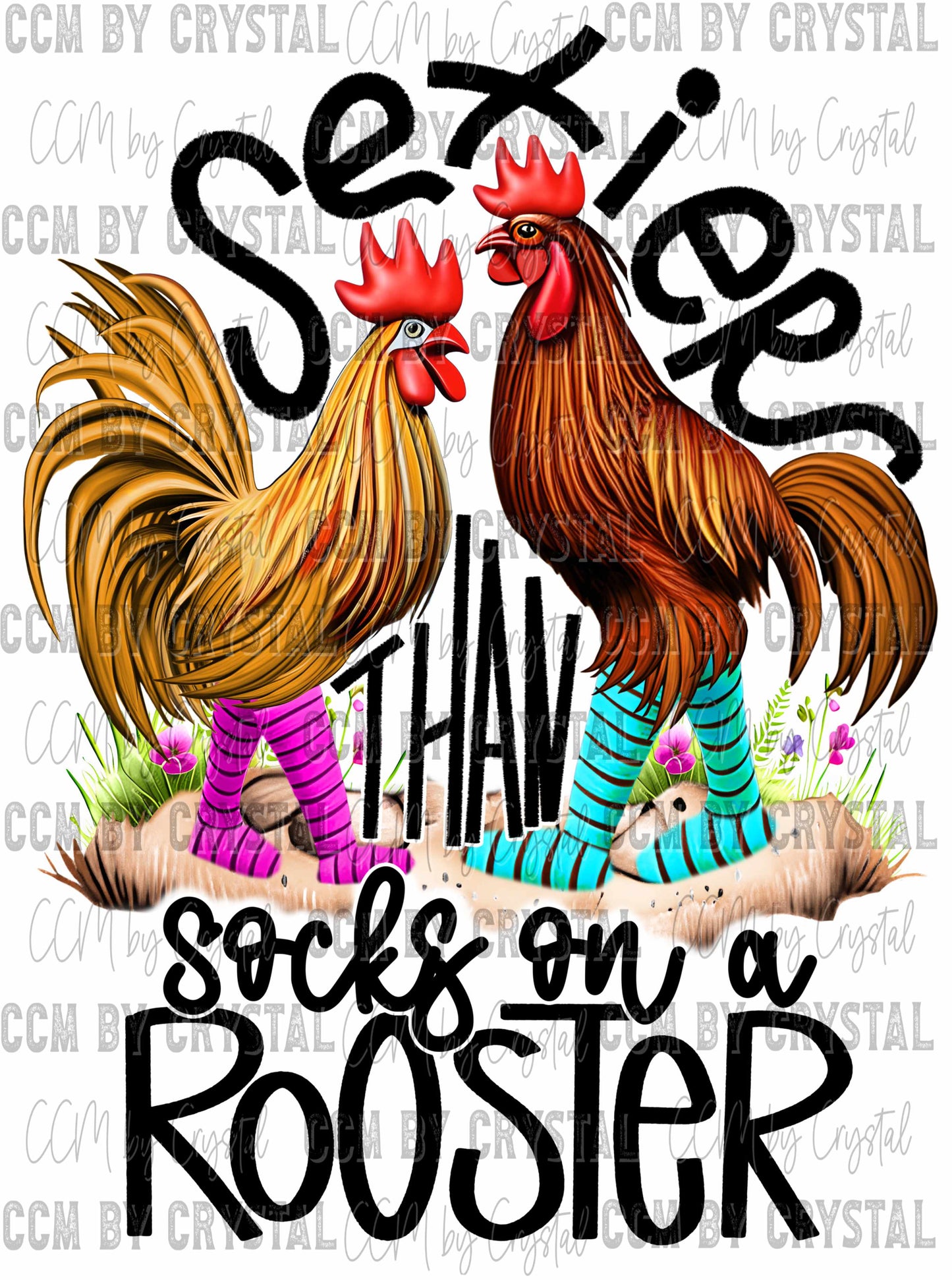 Sexier Than Socks on A Rooster Ready to Press Transfer
