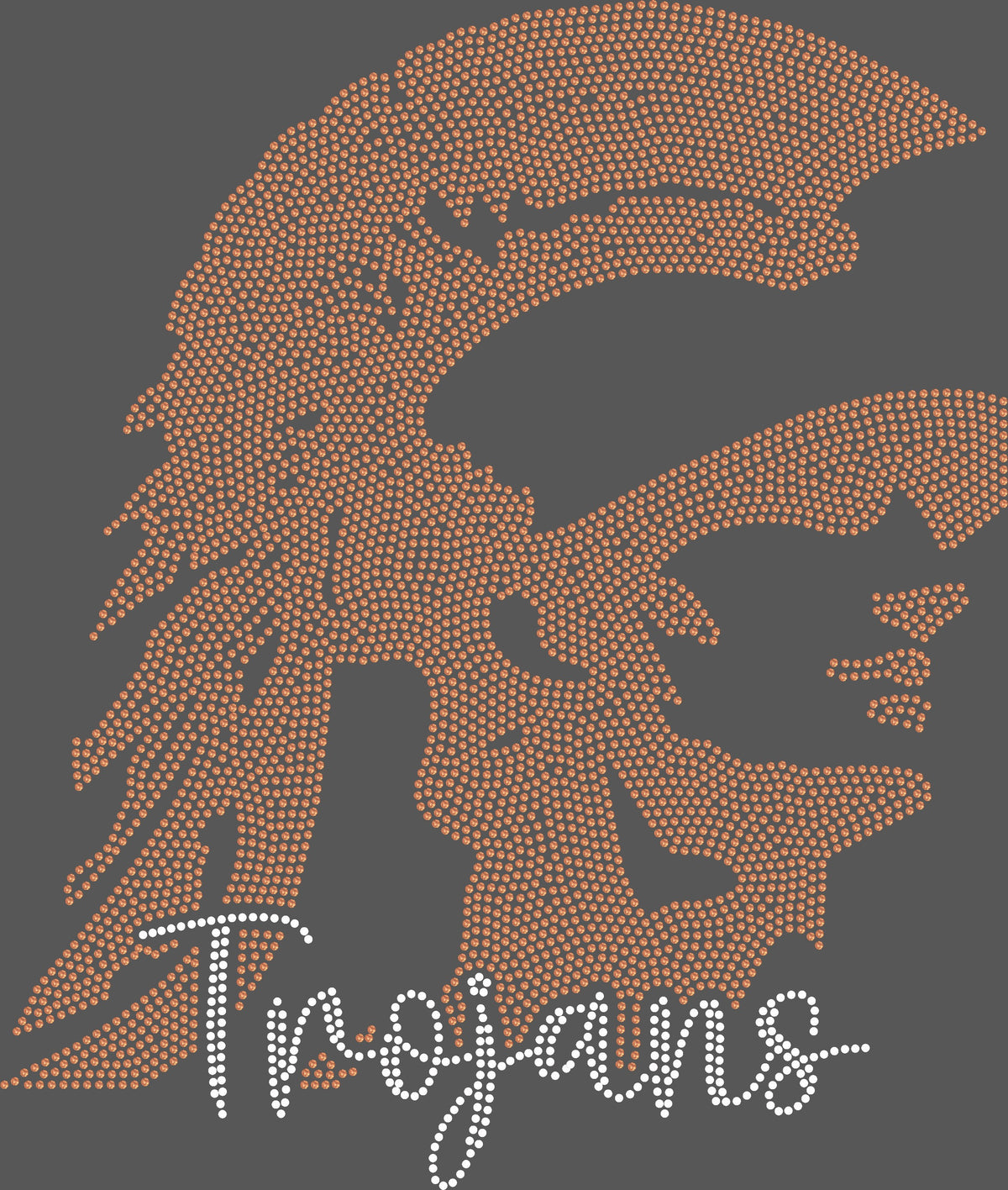 Trojans 2-Color Approximately 11" wide Spangle Transfer (Copy) (Copy)
