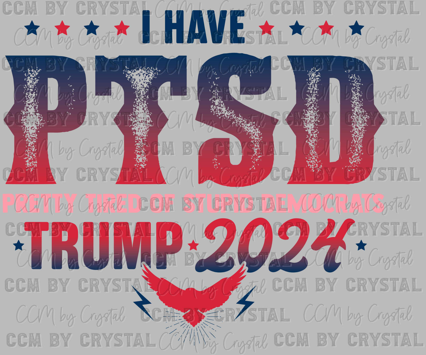 Pink I Have PTSD President 2024 Ready to Press Transfer