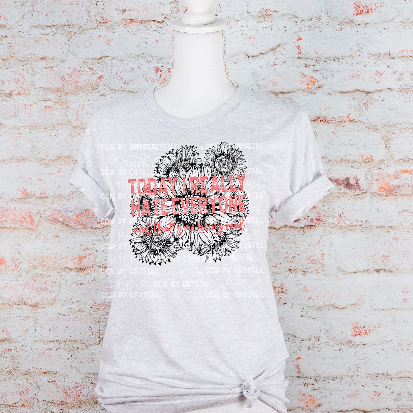 Today I Really Hate Everyone Ready to Press Transfer