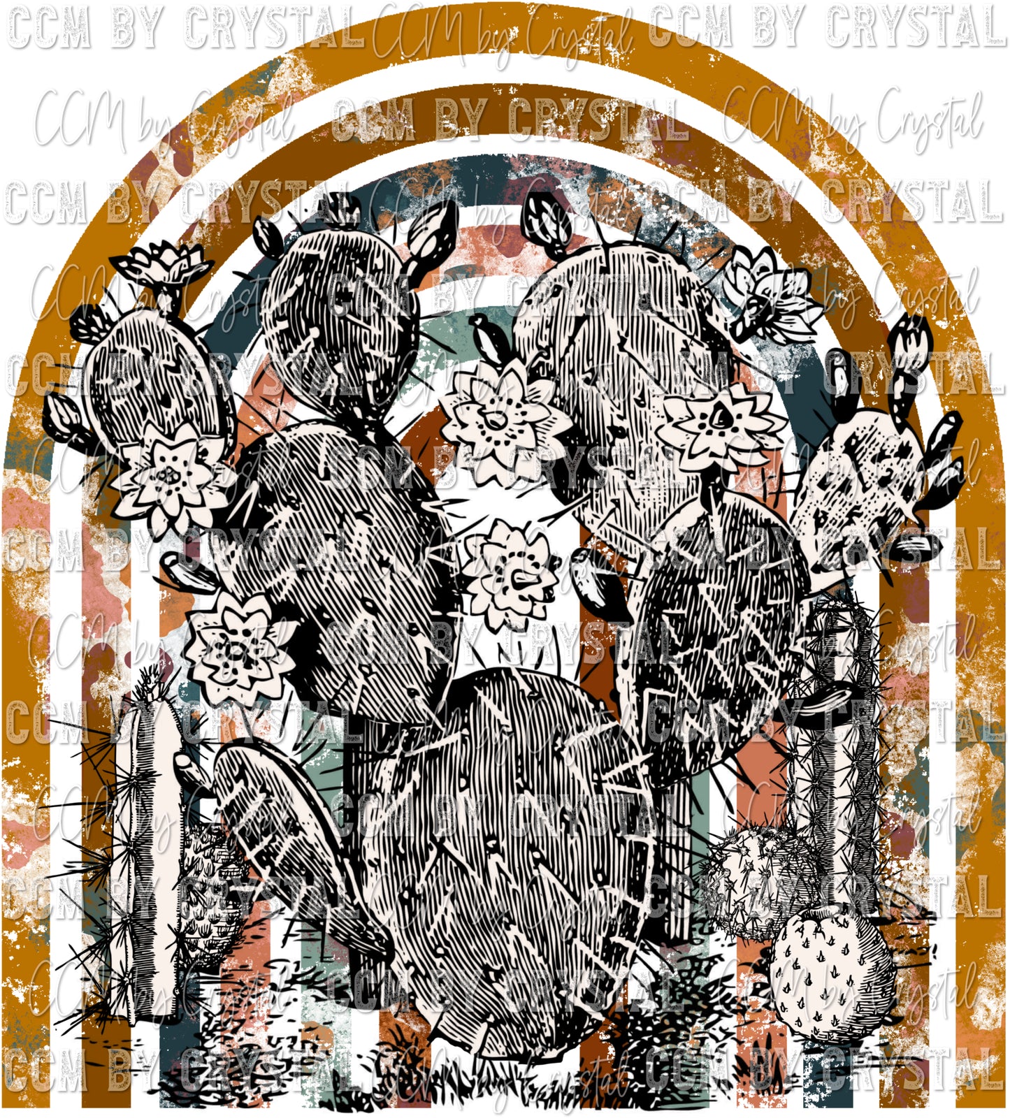 BOHO Cactus Rainbow Ready to Press Transfer