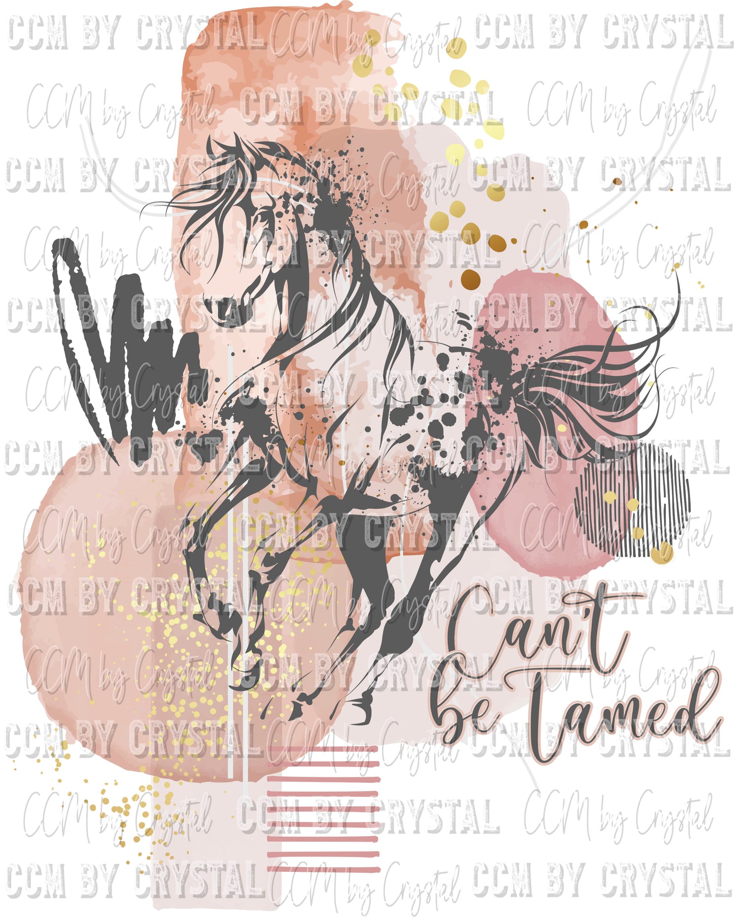 Can't Be Tamed Horse Ready to Press Transfer
