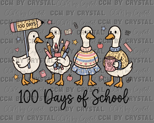 Ducks 100 Days of School Ready to Press Instant Peel DTF Transfers Sublimation Transfers