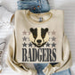 Badgers Mascot Faux Yarn Ready to Press DTF Transfers Sublimation Transfers