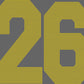 26 1-Color Approximately 11" Wide Spangle Transfer