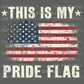 This is My Pride Flag US Flag Patriotic Fourth of July Ready to Press Transfer