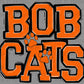 Bobcats with Paws Orange Mascot Sports Ready to Press Transfer DTF Transfer Sublimation Transfer