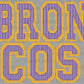 Broncos Faux Embroidery Stripes Sports Mascot Ready to Press Transfer DTF Transfer Sublimation Transfer