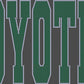 Custom Personalized Name/Mascot 9" 2- Color Spangle Transfer