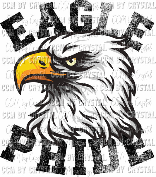 Eagle Pride Mascot Ready to Press Transfer