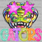 Gators Colorful Ready to Press DTF Transfers Sublimation Transfers