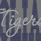 Custom 2 Words  2-Color Approximately 11" wide Spangle Transfer