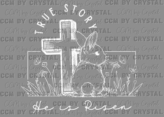 He is Risen Bunny Faith Christian Jesus Ready to Press Transfer DTF Transfer