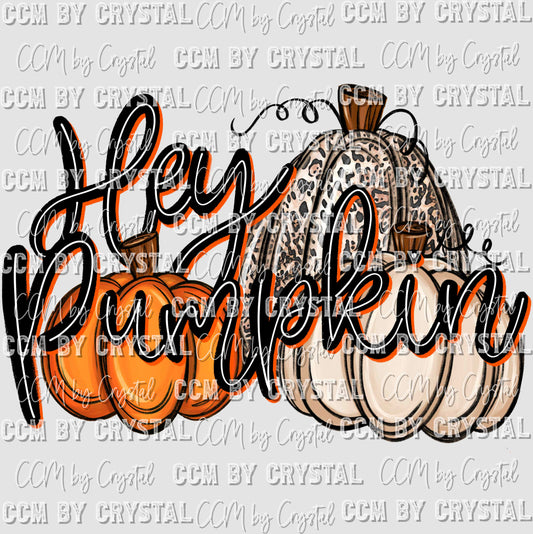 Hey Pumpkin Fall  Days of School Ready to Press Transfer