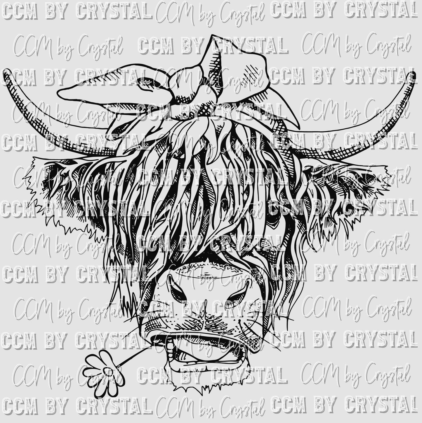 Highland Cow Ready to Press Transfer