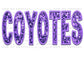 Coyotes purple Faux Sequins Faux Embroidery Ready to Press Transfer