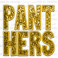 Panthers Gold Faux Sequins Faux Embroidery PNG Digital File ONLY