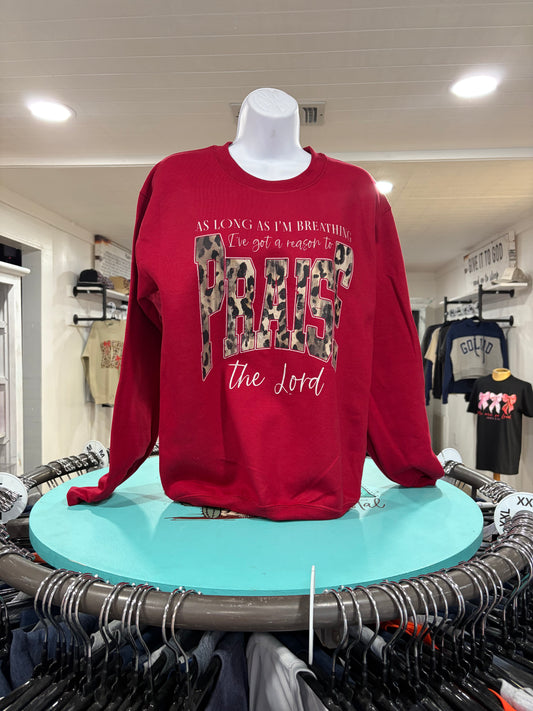 Praise Jesus Leopard T Shirt, Long Sleeve, Sweatshirt