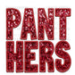 Panthers Faux Sequins Faux Embroidery PNG Digital File ONLY