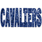 Cavaliers Faux Embroidery Faux Sequins Ready To Press Transfer DTF Sublimation