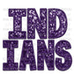Indians Faux Embroidery Faux Sequins Ready To Press Transfer DTF Sublimation