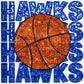 Hawks Basketball Faux Embroidery Faux Sequins Ready To Press Transfer DTF Sublimation