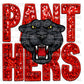 Panthers Faux Embroidery Faux Sequins Ready to Press Transfer DTF Transfer Sublimation Transfer