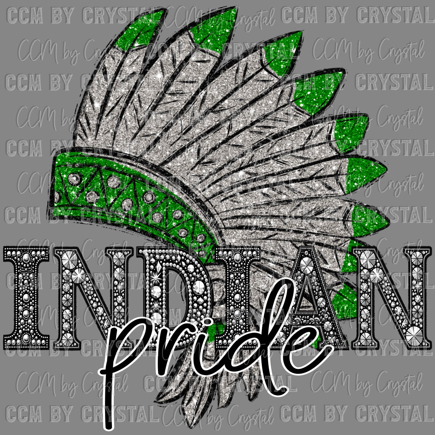 Indian Pride Mascot Ready to Press Transfer DTF Transfer Sublimation Transfer