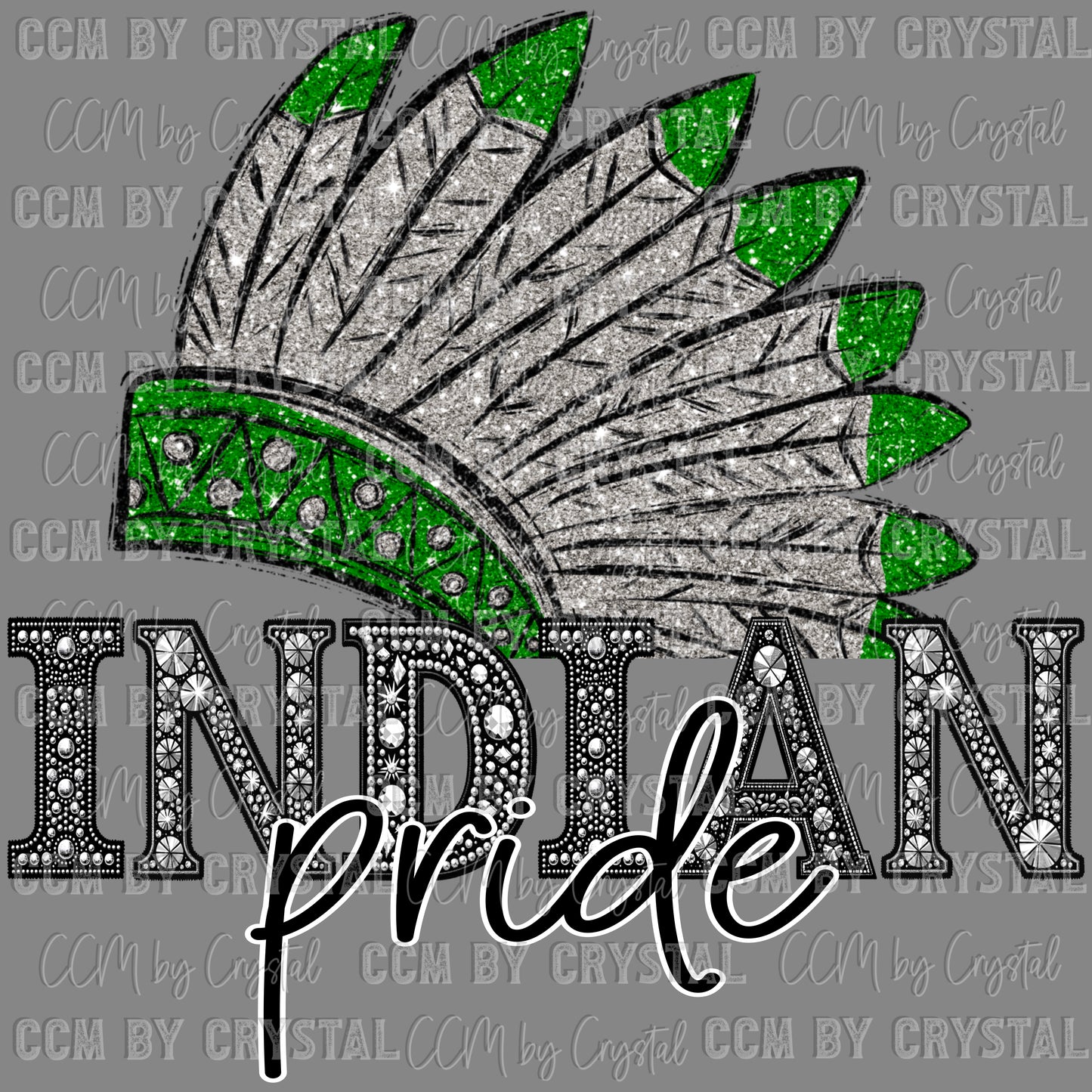 Indian Pride Mascot Ready to Press Transfer DTF Transfer Sublimation Transfer