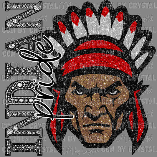 Indian Pride Mascot Ready to Press Transfer DTF Transfer Sublimation Transfer