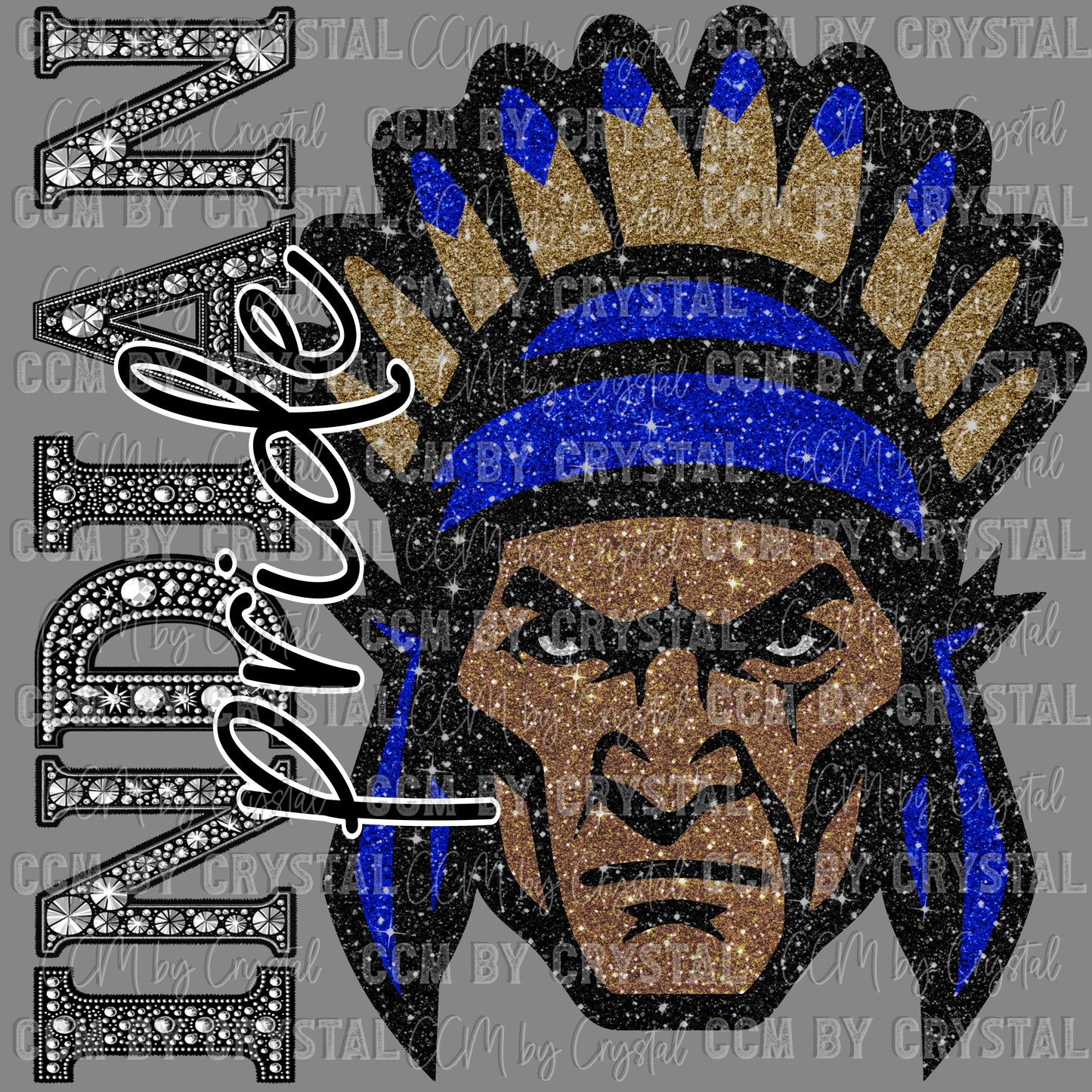 Indian Pride Mascot Ready to Press Transfer DTF Transfer Sublimation Transfer