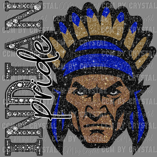 Indian Pride Mascot Ready to Press Transfer DTF Transfer Sublimation Transfer