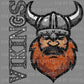 Vikings Mascot Ready to Press Transfer DTF Transfer Sublimation Transfer