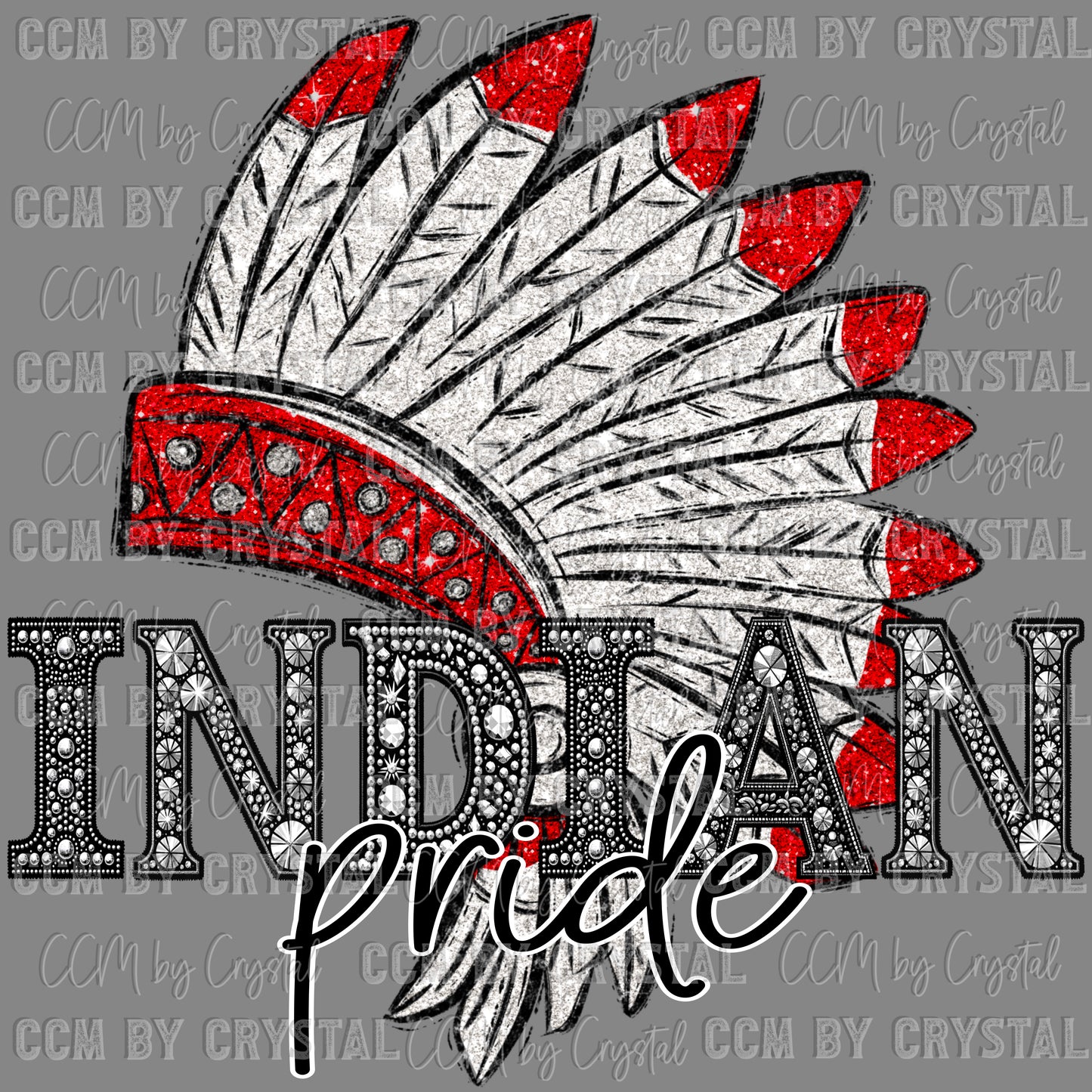 Indian Pride Mascot Ready to Press Transfer DTF Transfer Sublimation Transfer