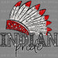 Indian Pride Mascot Ready to Press Transfer DTF Transfer Sublimation Transfer